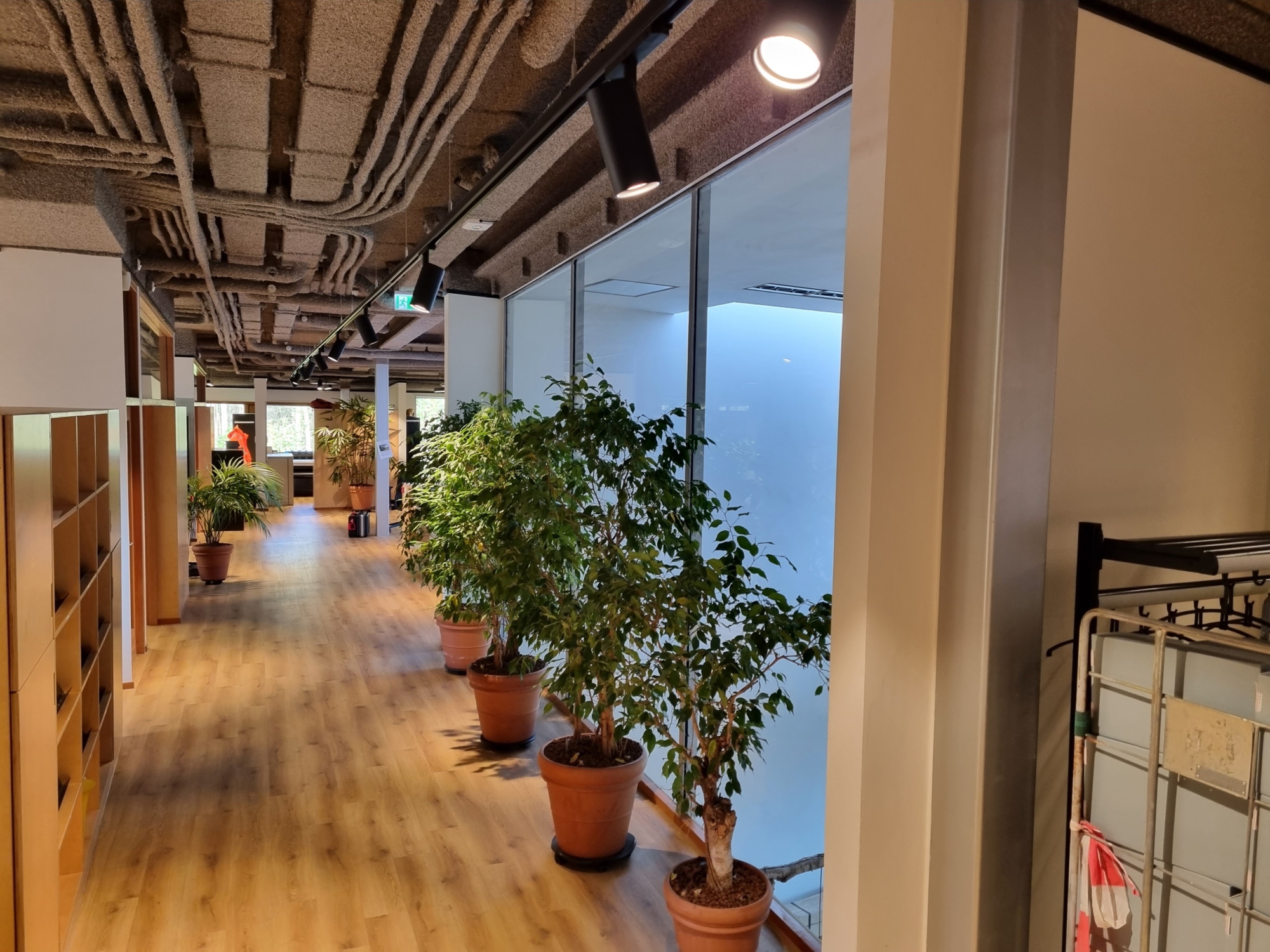 Lumosec Lighting Trackspot Indica casambi in gang