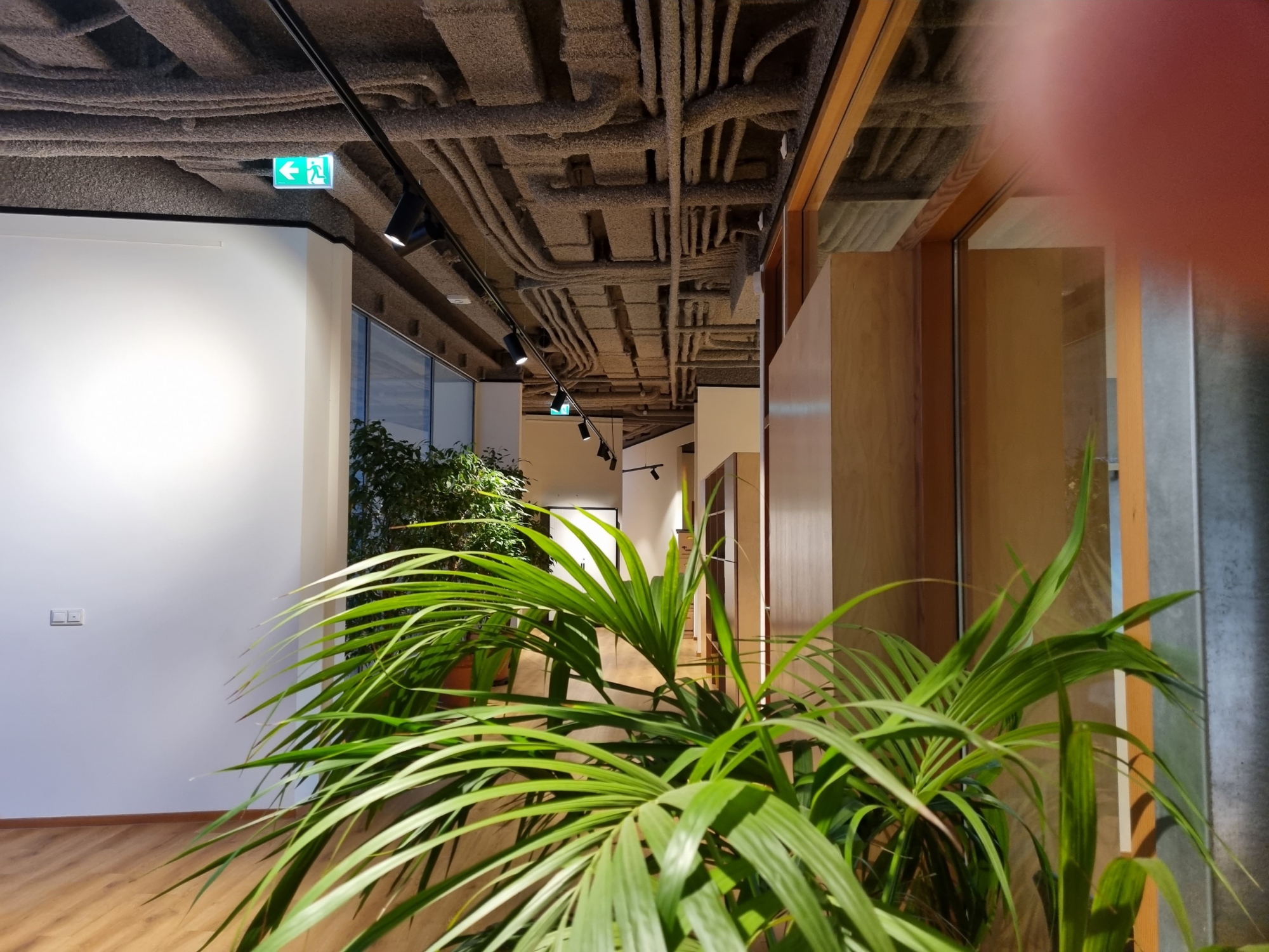 Railspot indica met casambi in de gang geeft sfeer