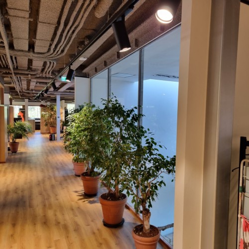 Indica trackspot met Casambi sturing in de gang